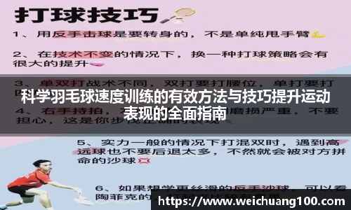 米乐YY易游
