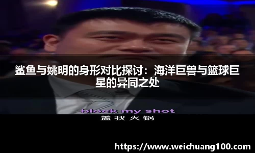 易游体育